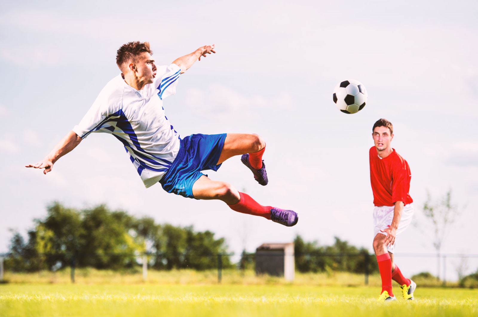 野为湖人创 野为湖人创