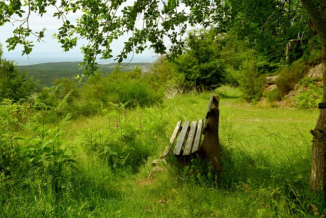 产或计划投 产或计划投
