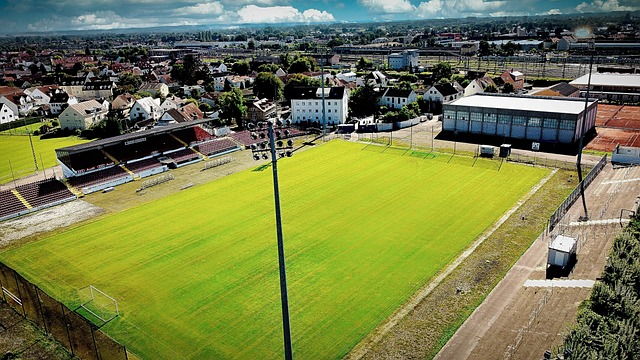 仅仅提醒我 仅仅提醒我