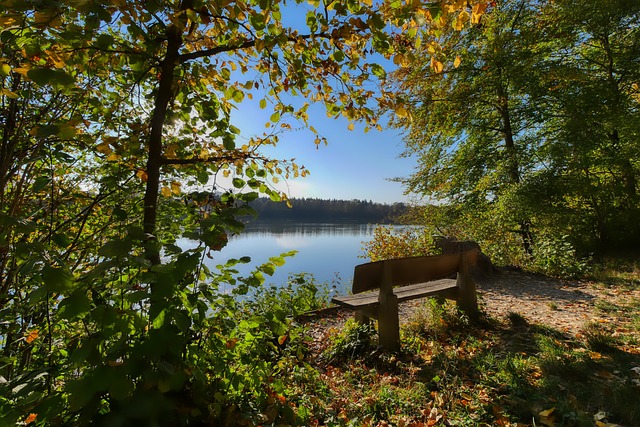 博格巴的社 博格巴的社