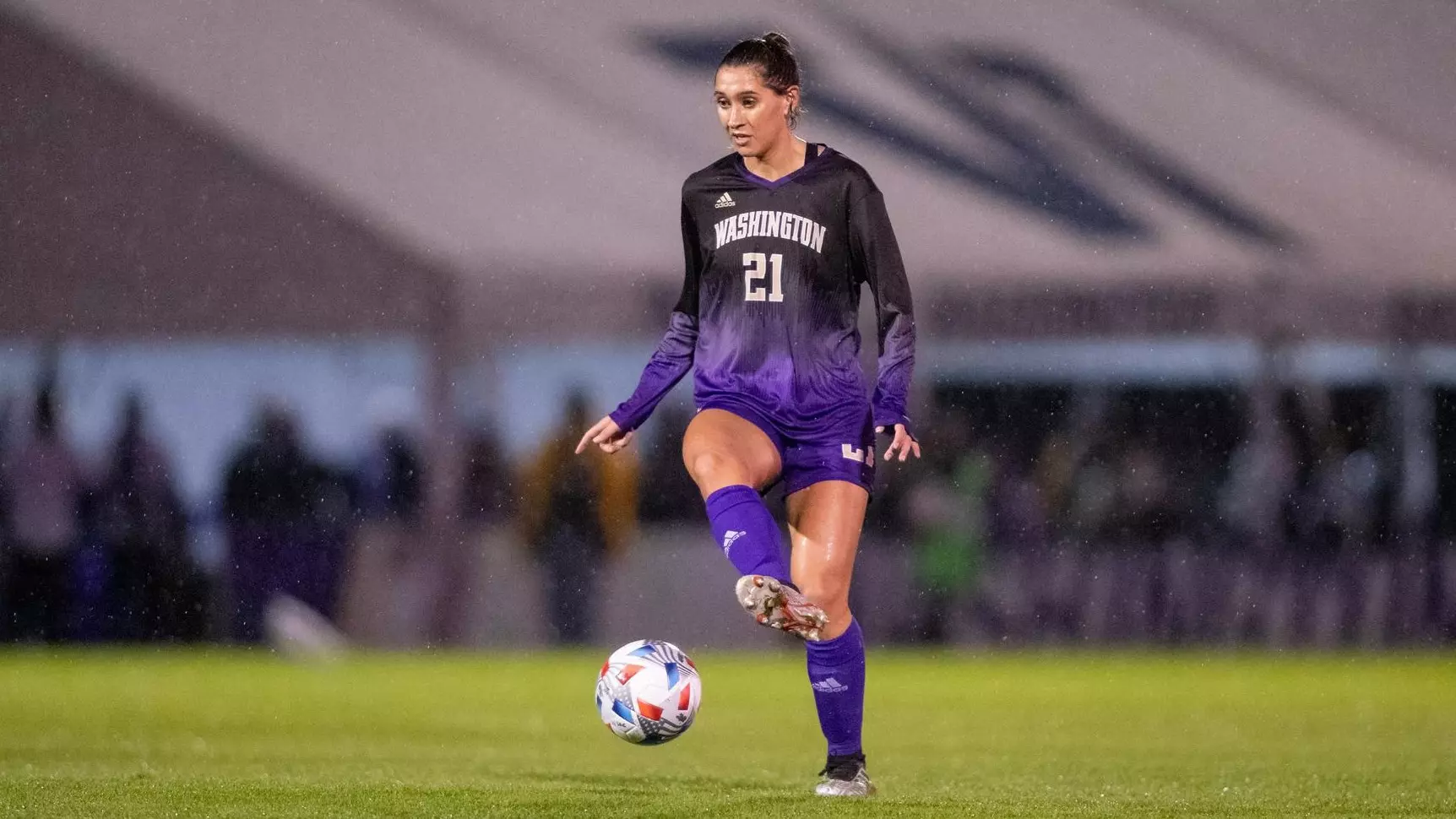 我们有理由 我们有理由